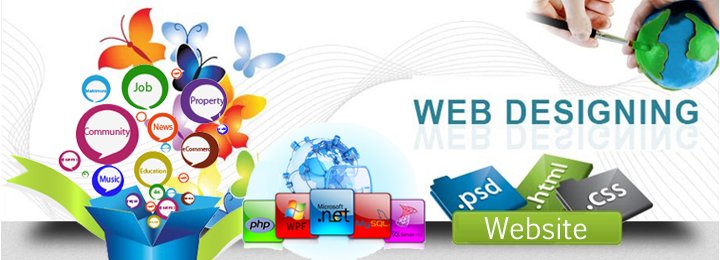 Website Designing Services Delhi